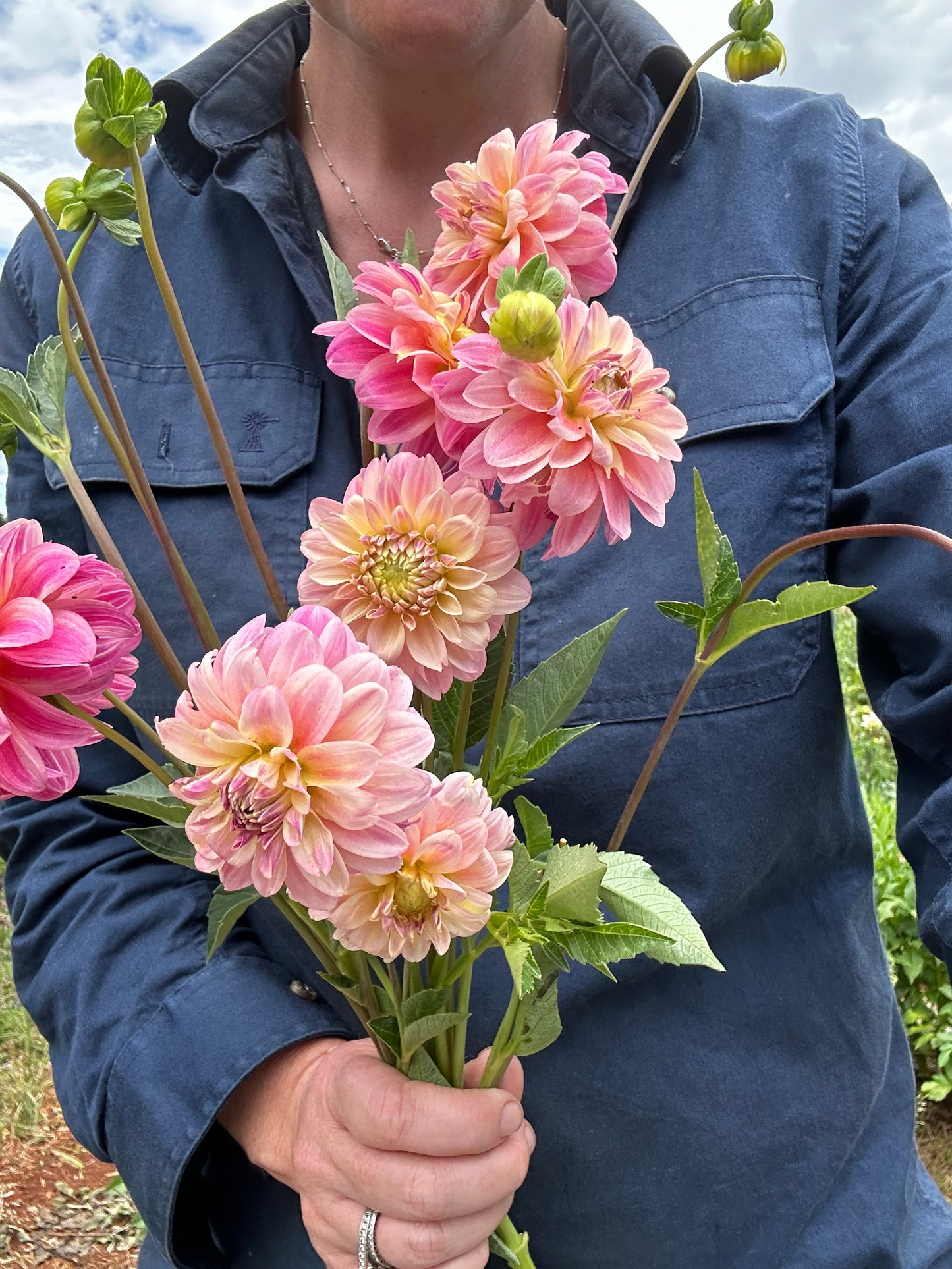 Florelie Strawberry Shortcake