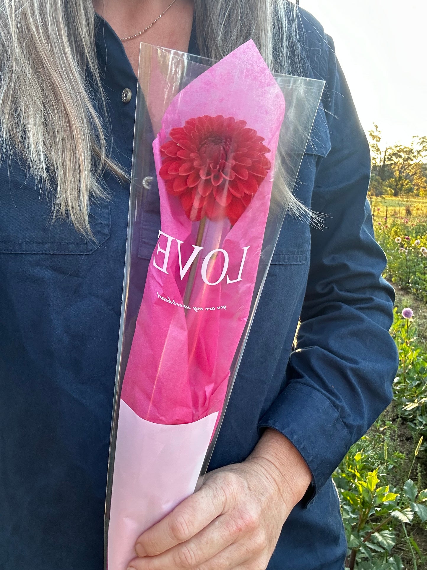 Single Stem Dahlia or Rose