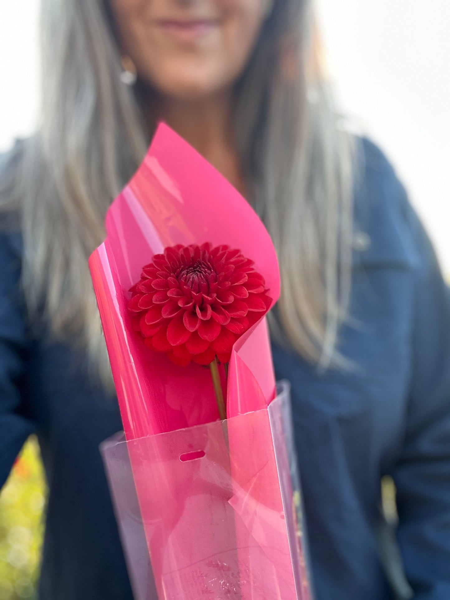 Single Stem Dahlia or Rose
