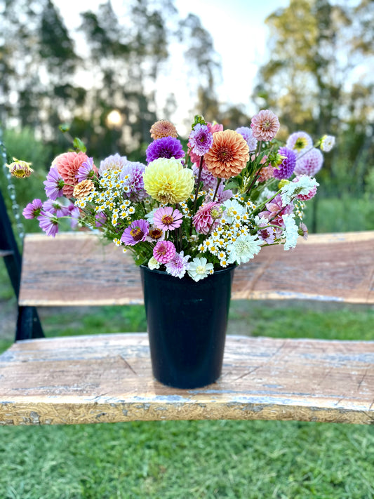 Mixed bucket of blooms