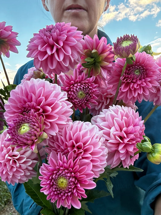 Pink Show