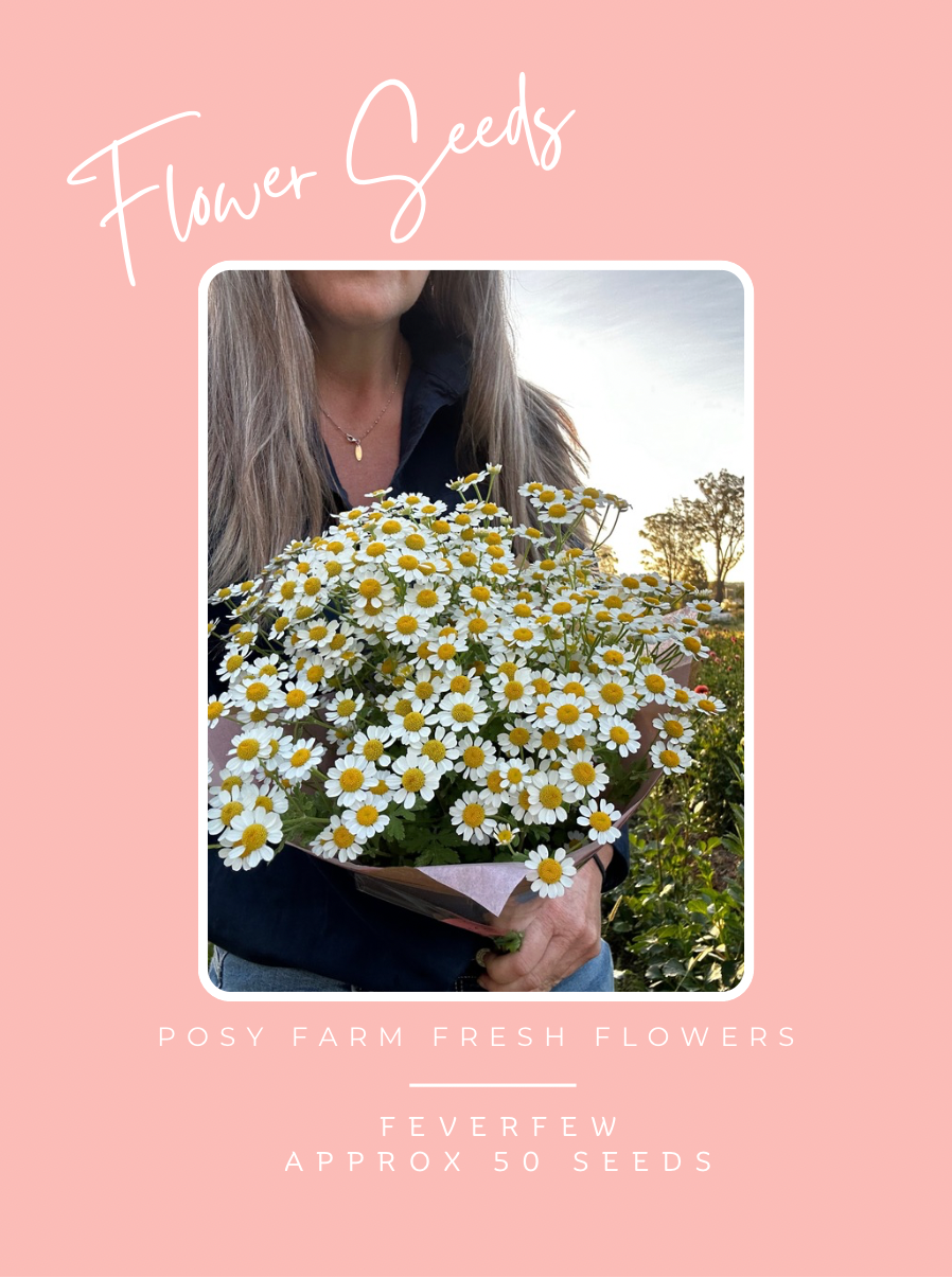 Feverfew