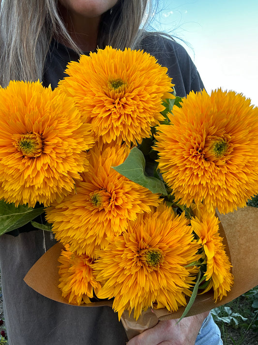 Sunflower Bunch