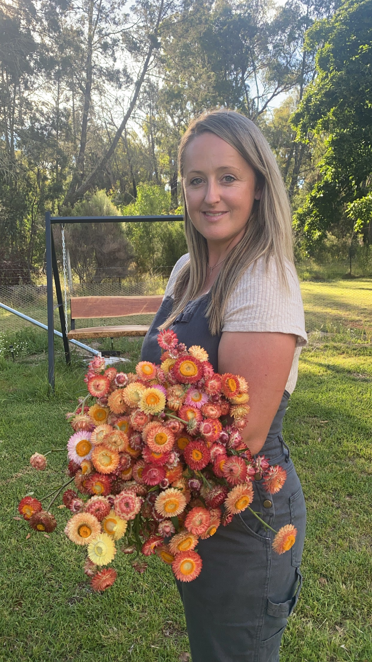 Strawflower mix