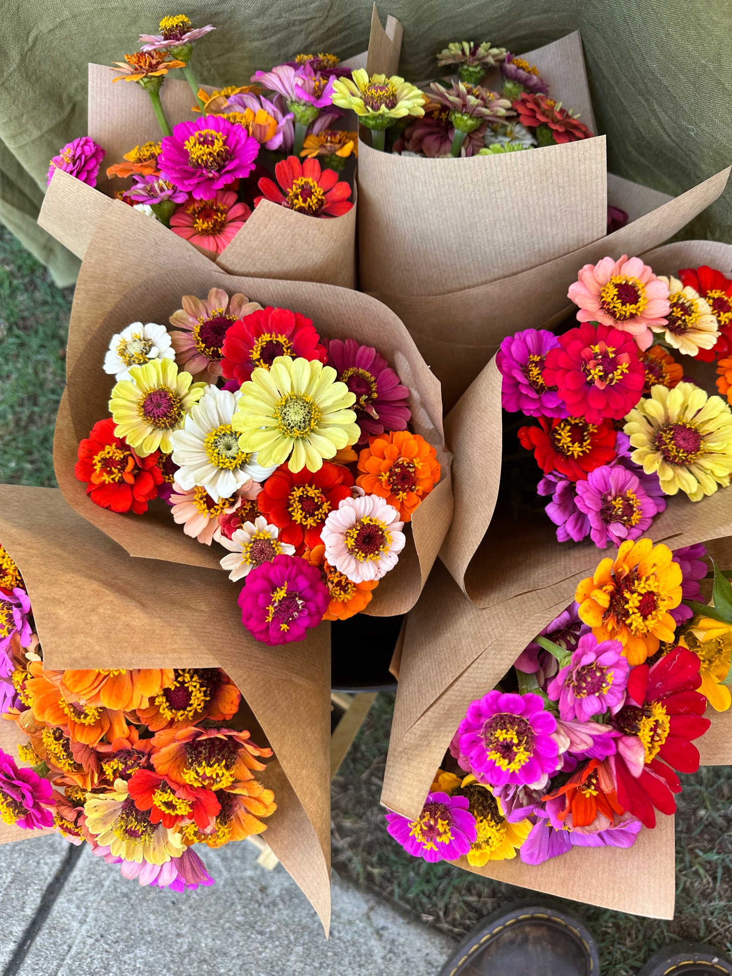 Zinnia Mix